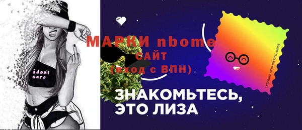 хмурый Алексин