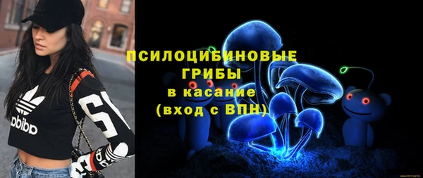 крисы Алзамай