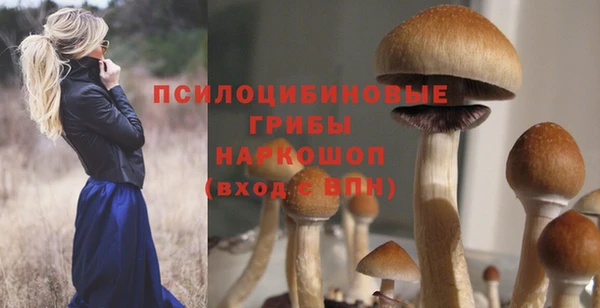 хмурый Алексин