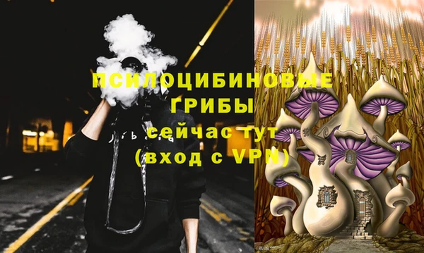 бутират Алексеевка