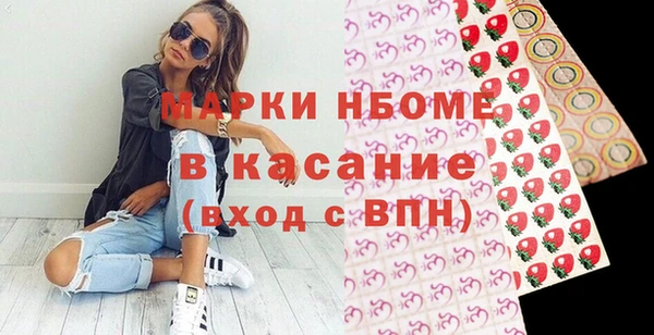 хмурый Алексин
