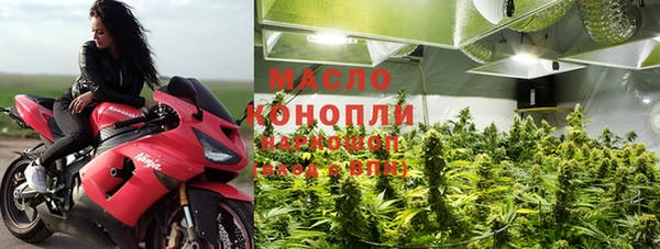 крисы Алзамай