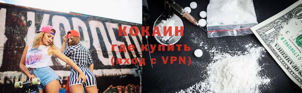 хмурый Алексин