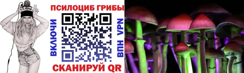 Псилоцибиновые грибы Cubensis  где найти   Новоаннинский 